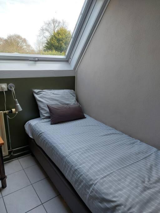 Boszicht 2 Appartement In Oostkapelle Eksteriør billede
